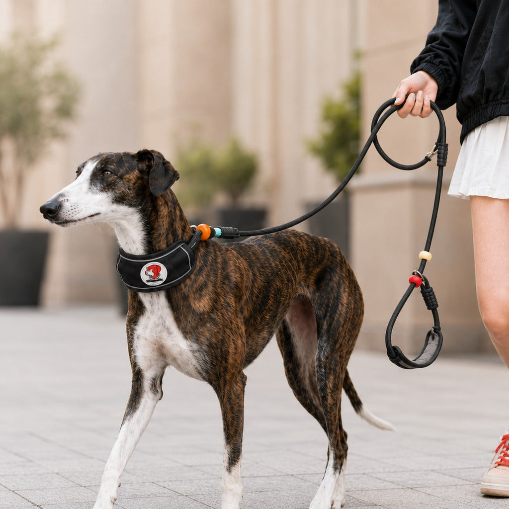 Paws in Awe Anti-Choke Dog Leash for Everyday Walks - Padded Neck Protection & Better Control for Pullers image 14