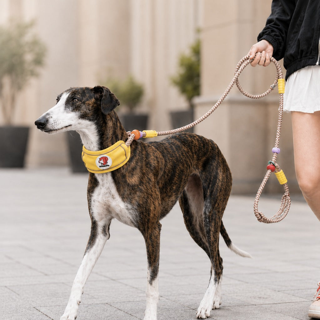Paws in Awe Anti-Choke Dog Leash for Everyday Walks - Padded Neck Protection & Better Control for Pullers image 10