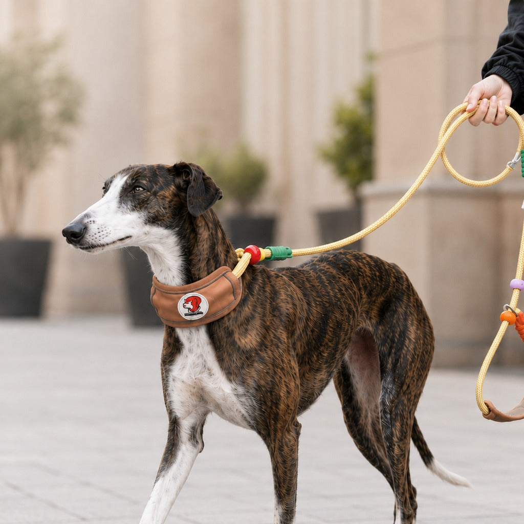 Paws in Awe Anti-Choke Dog Leash for Everyday Walks - Padded Neck Protection & Better Control for Pullers image 9