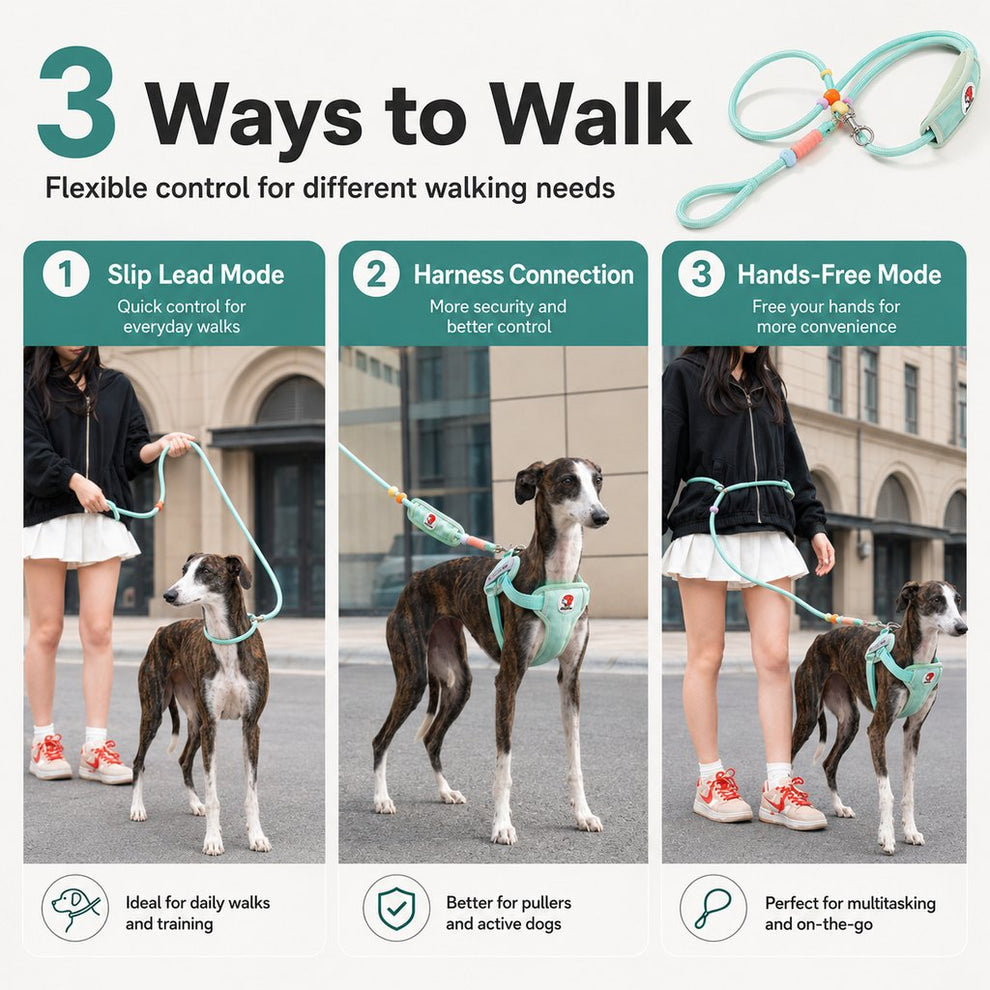Paws in Awe Anti-Choke Dog Leash for Everyday Walks - Padded Neck Protection & Better Control for Pullers image 3
