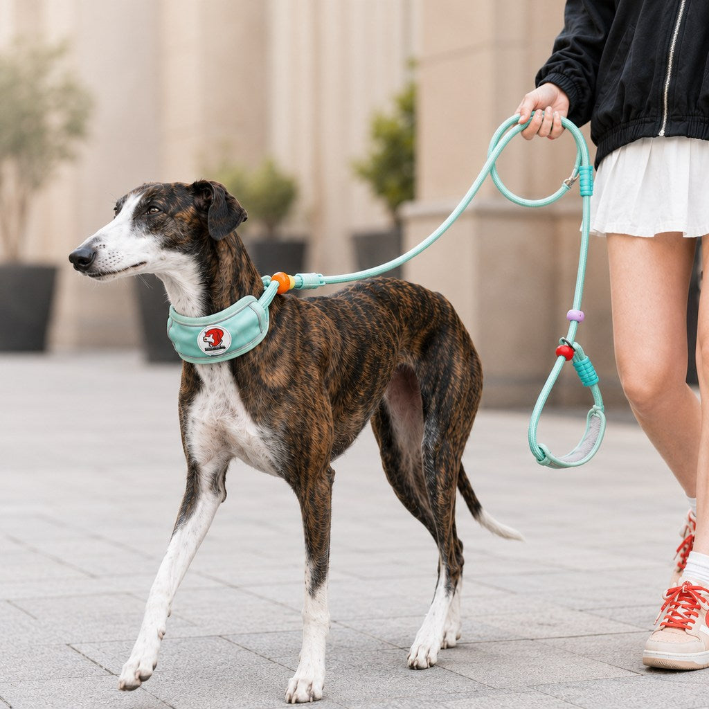 Paws in Awe Anti-Choke Dog Leash for Everyday Walks - Padded Neck Protection & Better Control for Pullers image 1