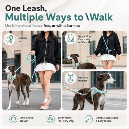Paws in Awe Anti-Choke Dog Leash for Everyday Walks - Padded Neck Protection & Better Control for Pullers image 2