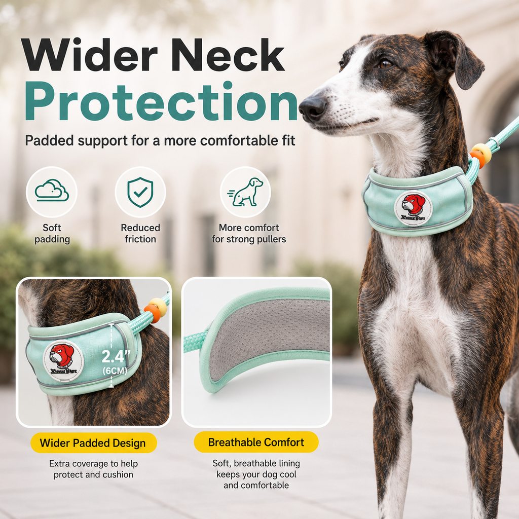 Paws in Awe Anti-Choke Dog Leash for Everyday Walks - Padded Neck Protection & Better Control for Pullers image 6