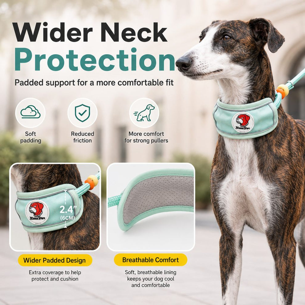 Paws in Awe Anti-Choke Dog Leash for Everyday Walks - Padded Neck Protection & Better Control for Pullers image 6
