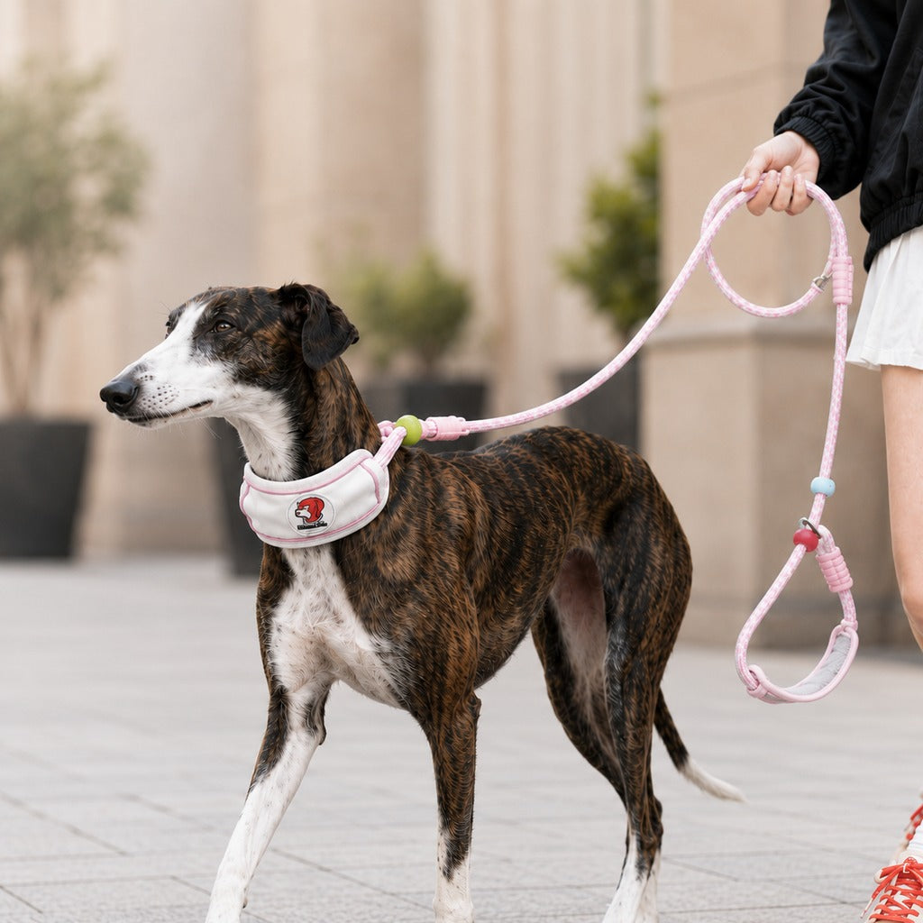 Paws in Awe Anti-Choke Dog Leash for Everyday Walks - Padded Neck Protection & Better Control for Pullers image 13