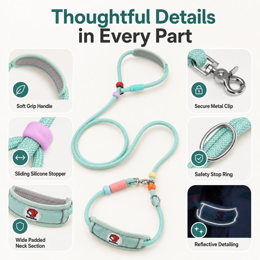 Paws in Awe Anti-Choke Dog Leash for Everyday Walks - Padded Neck Protection & Better Control for Pullers image 5
