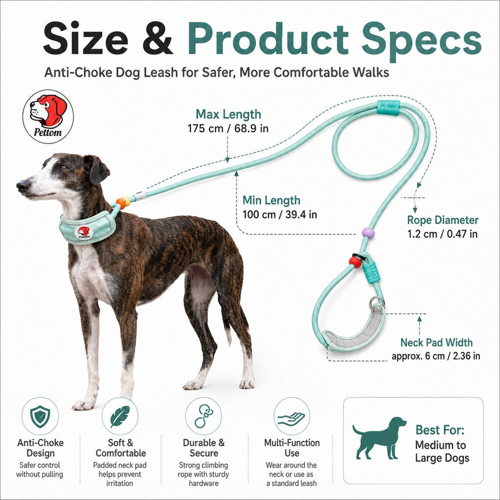 Paws in Awe Anti-Choke Dog Leash for Everyday Walks - Padded Neck Protection & Better Control for Pullers image 8