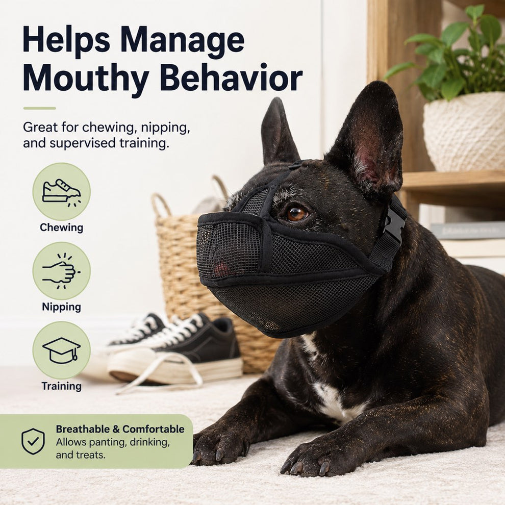 Anti scavenging dog muzzle for walks and outdoor safety