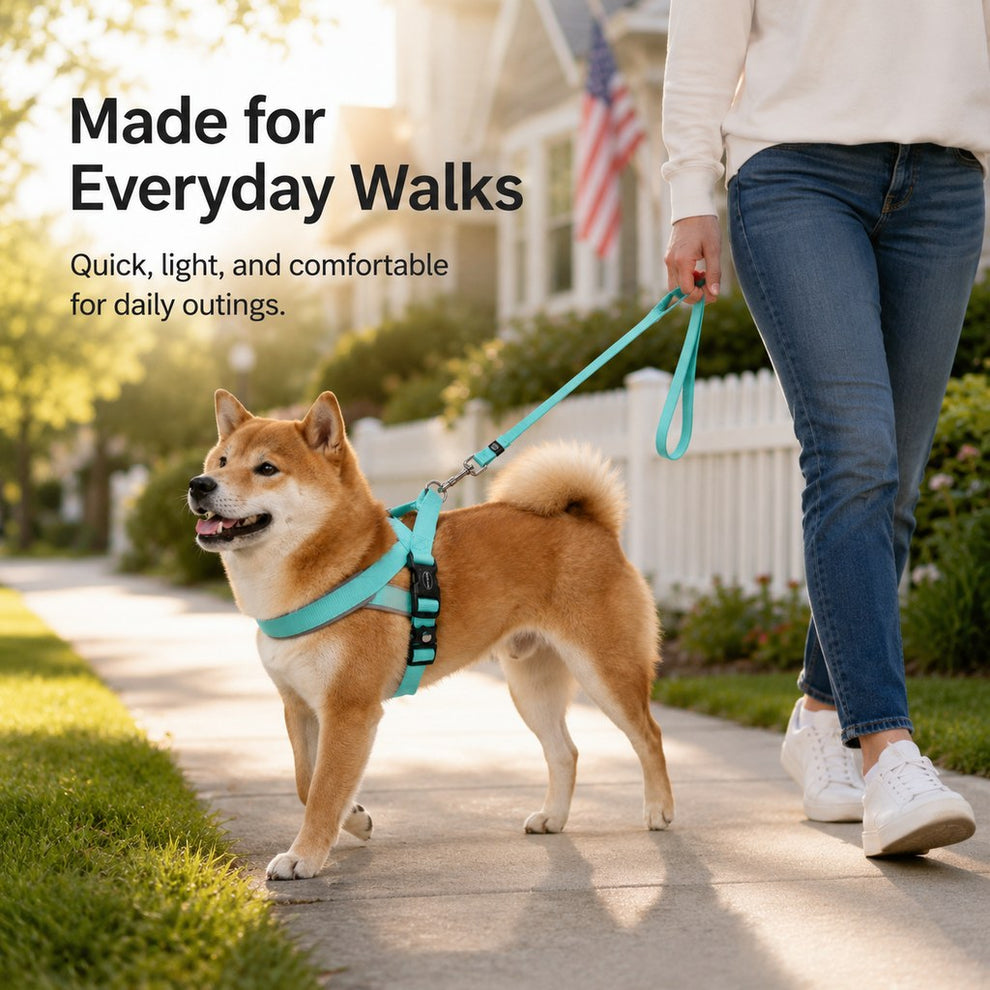 Paws in Awe Quick-Fit Lightweight Dog Harness & Leash Set for Daily Walks - No-Choke Step-In Comfort with Secure Buckle & Back Control Handle image 2