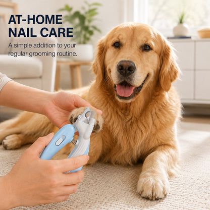 Paws in Awe Pet Nail Clippers for At-Home Grooming – LED Guard & Mini Styles for Cleaner, Easier Dog & Cat Nail Trims image 2