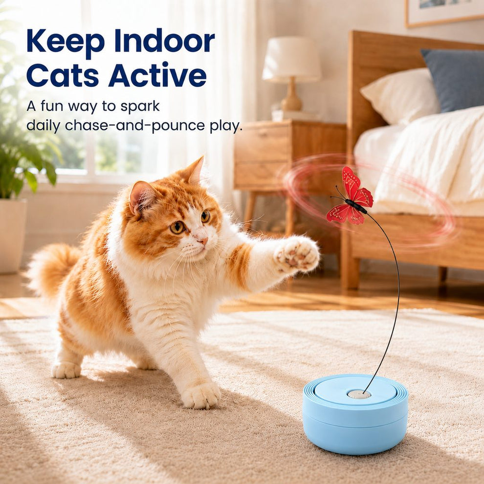 Automatic butterfly cat toy keeps indoor cats active