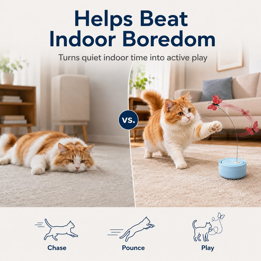 Automatic cat toy for indoor boredom relief