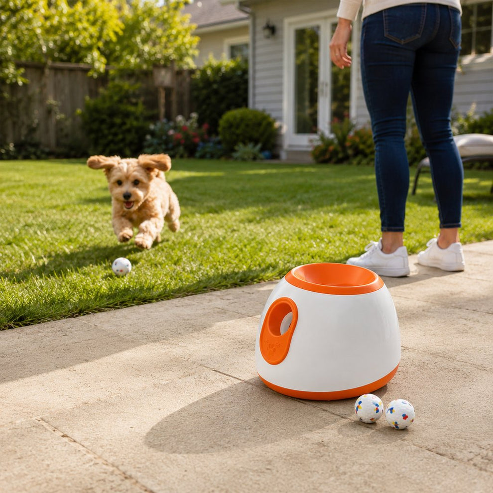 Mini automatic dog ball launcher with 3 balls