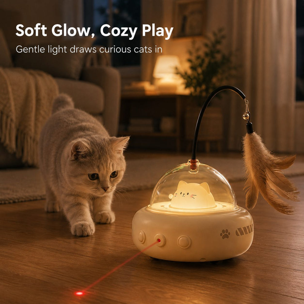 Soft glow automatic cat toy for cozy indoor evening play