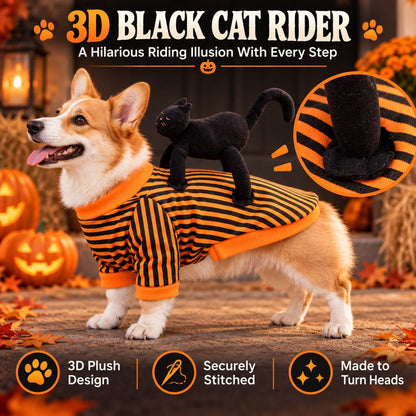 3D Black Cat Rider dog Halloween costume design