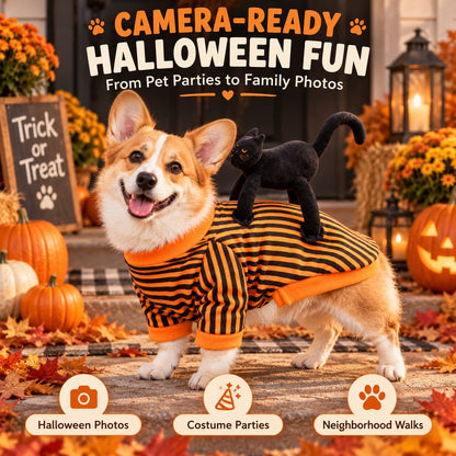 Funny dog Halloween costume for photos and parties
