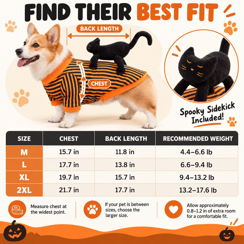 Black Cat Rider Halloween pet costume size guide