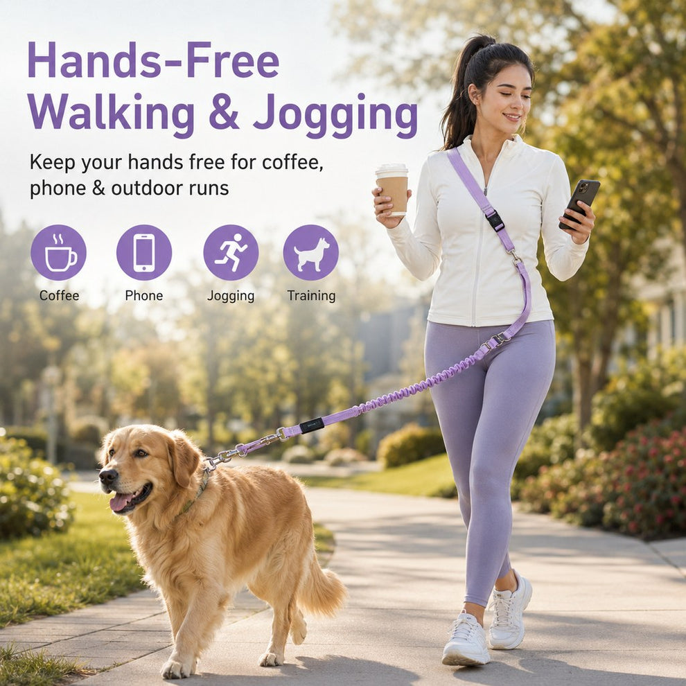 Paws in Awe Hands-Free Shock-Absorbing Dog Leash for Running, Walking & Car Travel - Bungee Leash Helps Reduce Pulling image 2