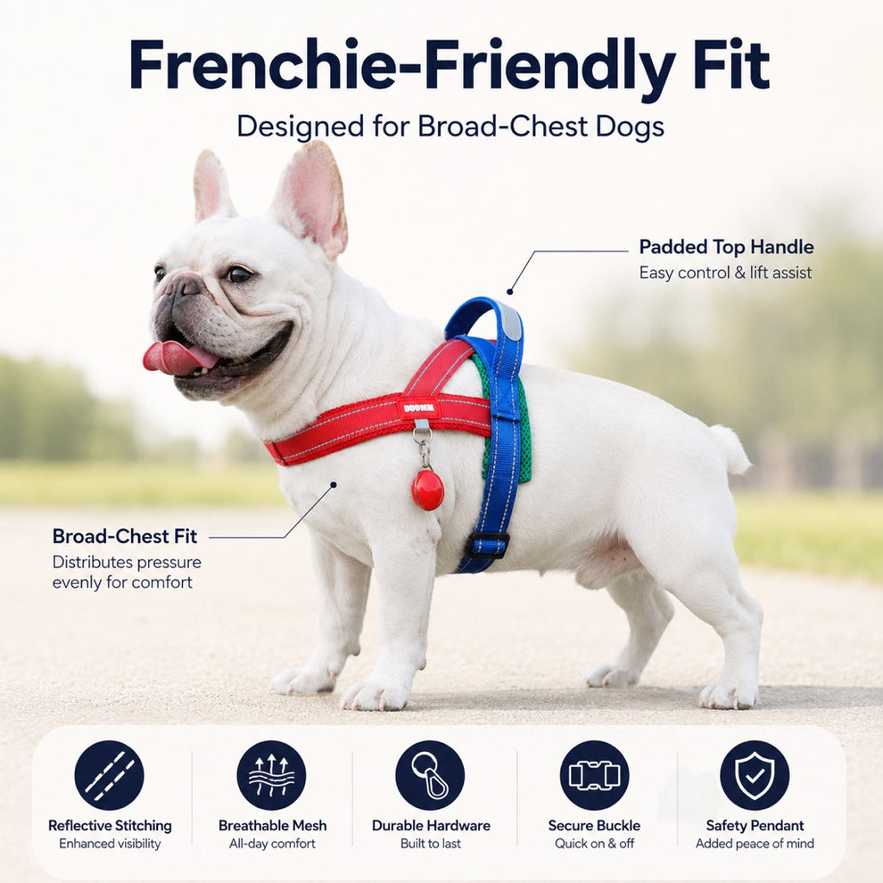 Paws in Awe No-Choke French Bulldog Harness & Leash Set for Daily Walks - Reflective, Easy-Control Fit for Broad-Chest Dogs image 7