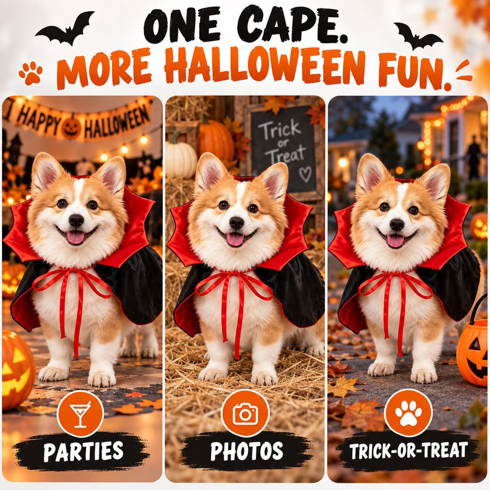 Black and red vampire dog cape costume detail grid