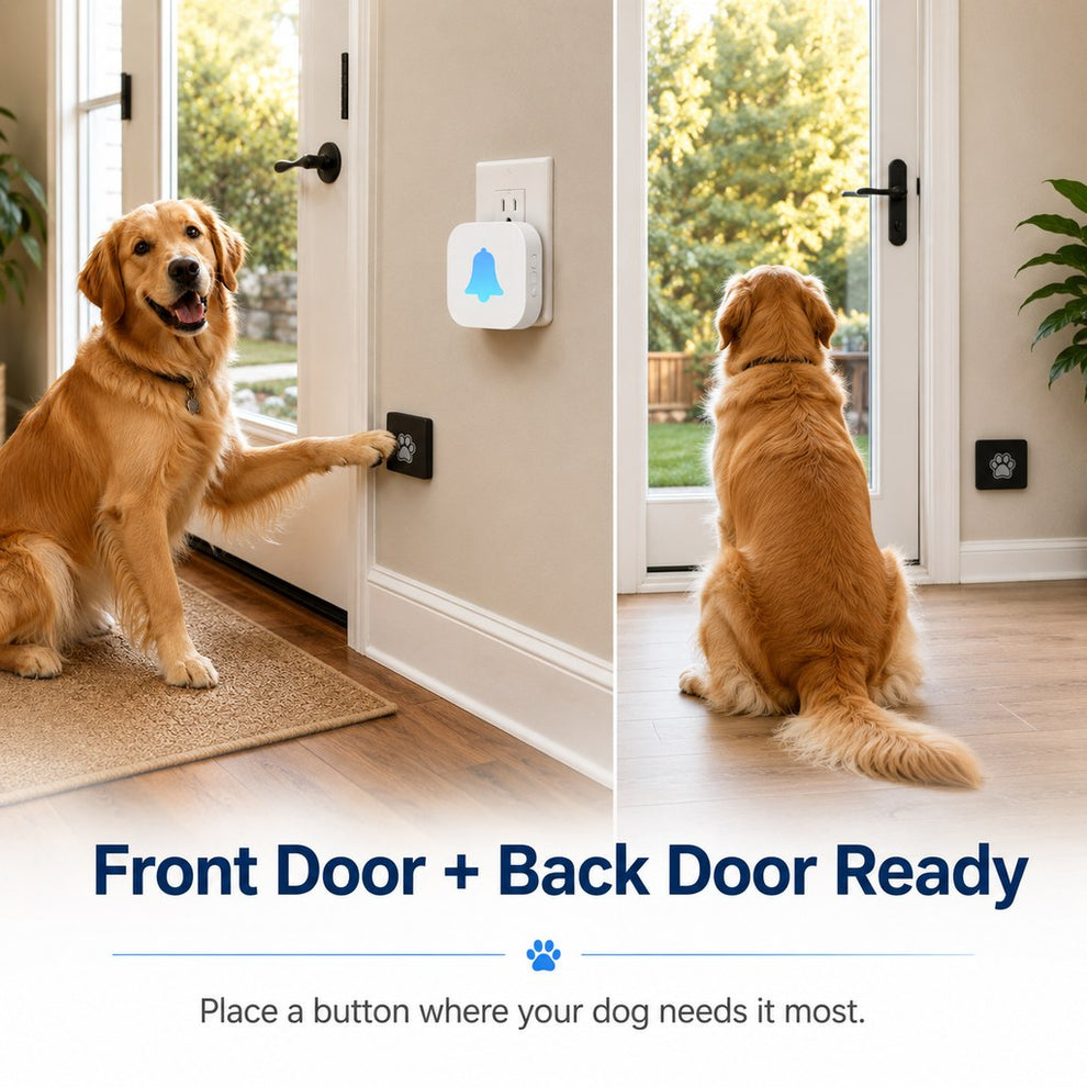 Paws in Awe Wireless Dog Doorbell for Potty Training - Self-Powered Paw Button & Plug-In Chime to Help Dogs Ask to Go Outside image 4