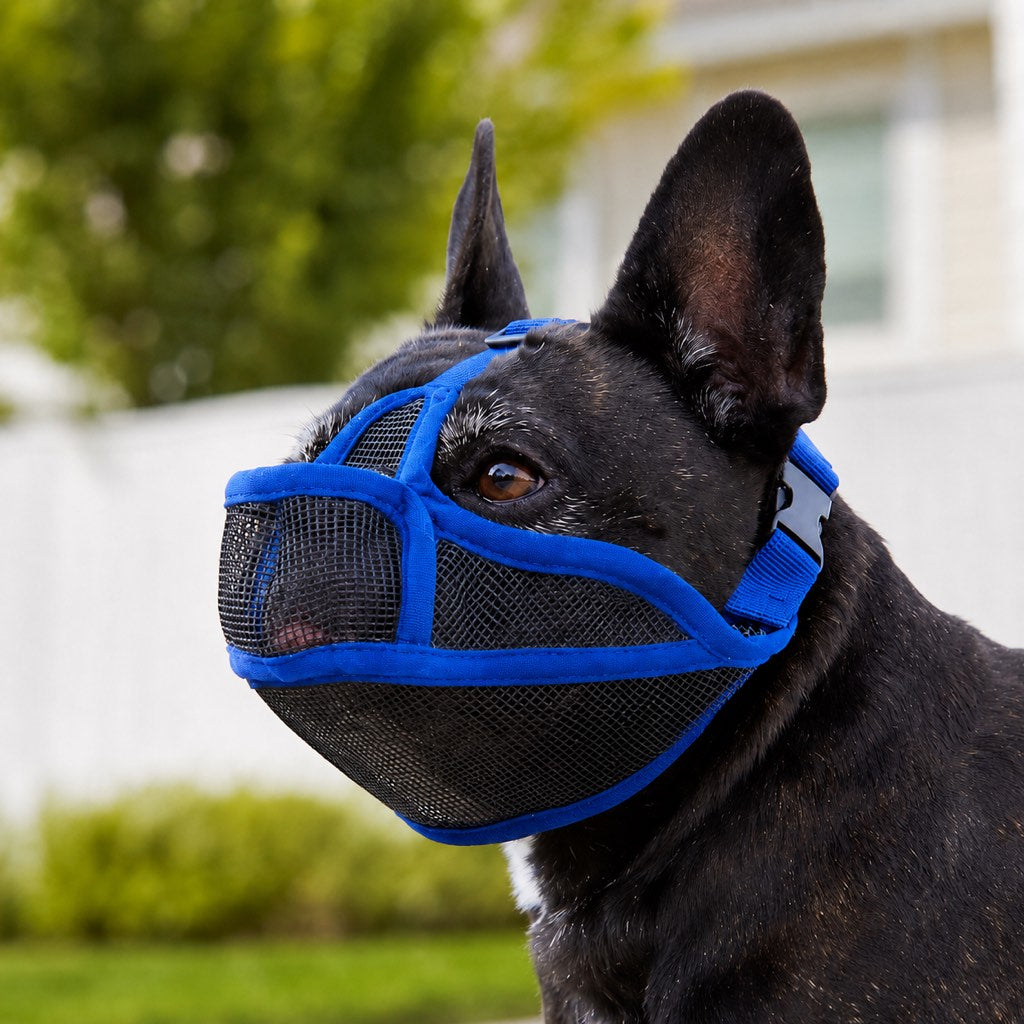 Blue French Bulldog breathable mesh muzzle