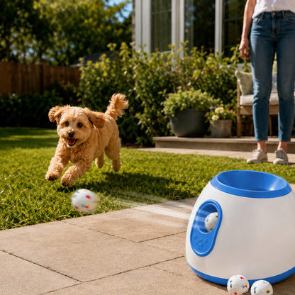Mini automatic dog ball launcher with 3 balls