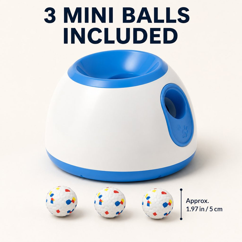 Mini automatic dog ball launcher with 3 balls
