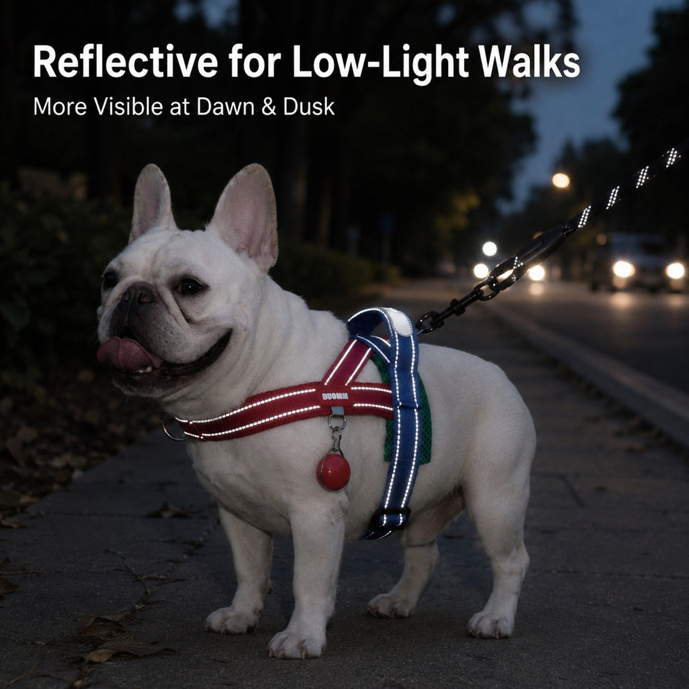 Paws in Awe No-Choke French Bulldog Harness & Leash Set for Daily Walks - Reflective, Easy-Control Fit for Broad-Chest Dogs image 5