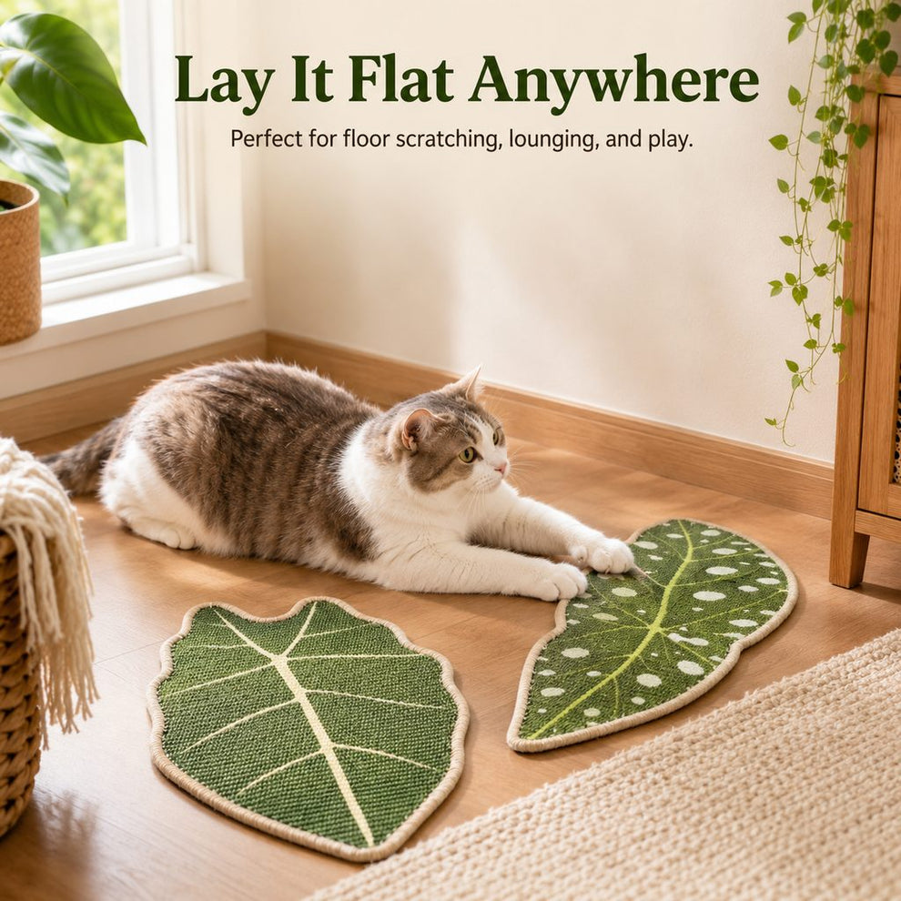 Botanical cat scratcher mat laid flat for floor use