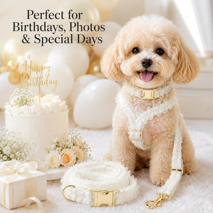 Paws in Awe Boutique Lace Dog Harness, Collar & Leash Set for Birthday Photos & Daily Walks - 3-Piece Ruffle Walking Set image 2