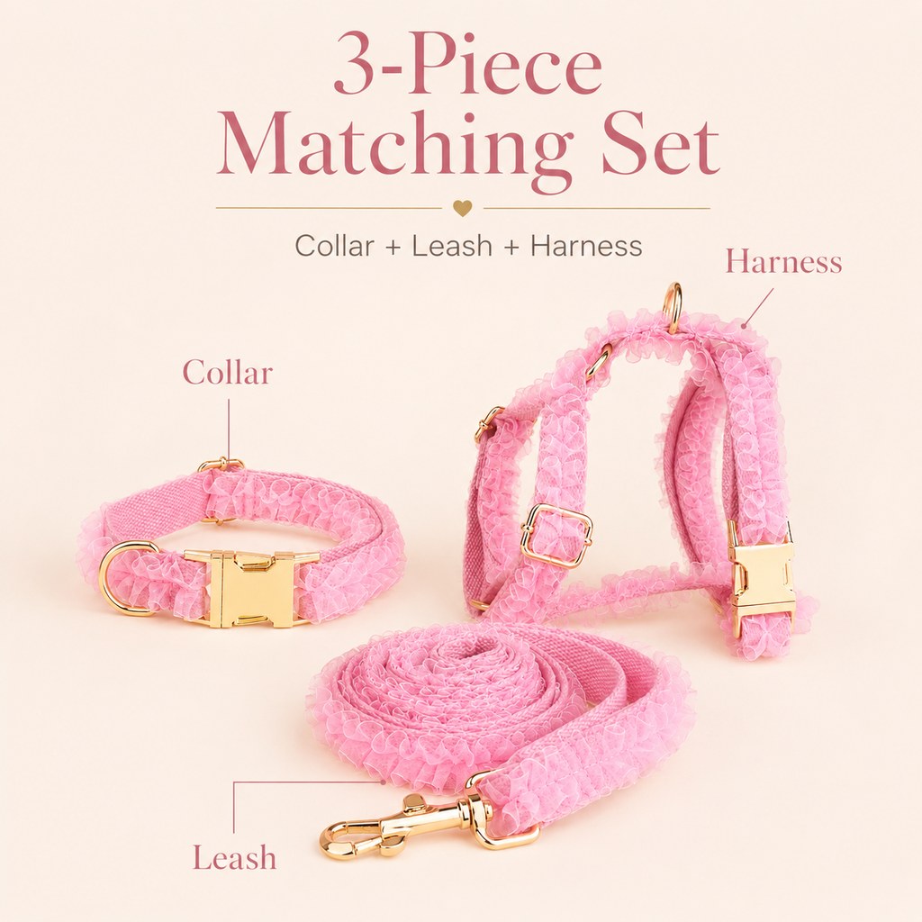 Paws in Awe Boutique Lace Dog Harness, Collar & Leash Set for Birthday Photos & Daily Walks - 3-Piece Ruffle Walking Set image 5