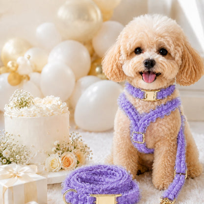 Paws in Awe Boutique Lace Dog Harness, Collar & Leash Set for Birthday Photos & Daily Walks - 3-Piece Ruffle Walking Set image 13