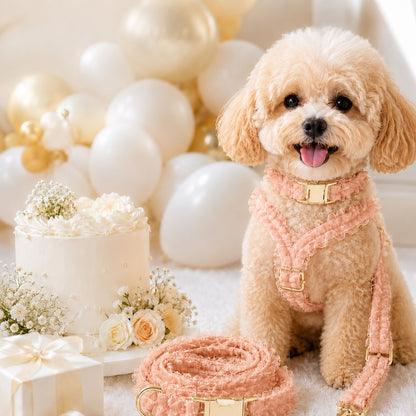 Paws in Awe Boutique Lace Dog Harness, Collar & Leash Set for Birthday Photos & Daily Walks - 3-Piece Ruffle Walking Set image 15
