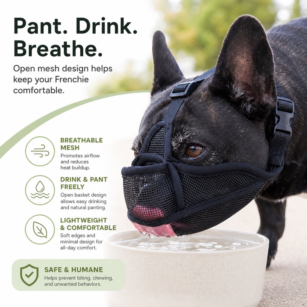 Breathable basket muzzle for safer daily walks