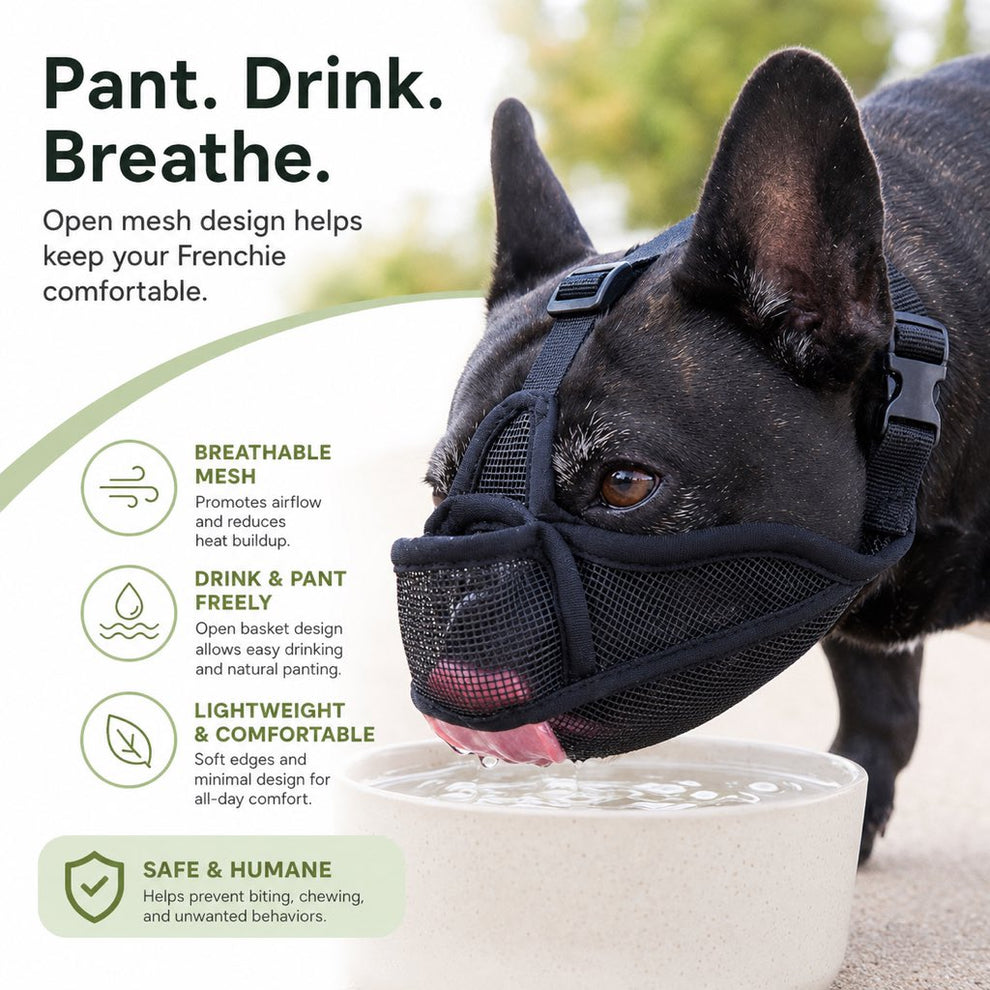 Breathable basket muzzle for safer daily walks
