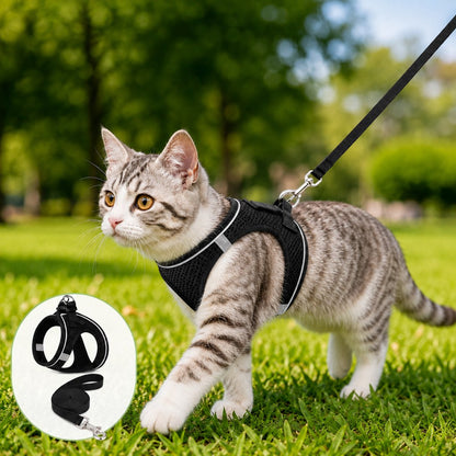 Paws in Awe Breathable Cat Harness & Leash Set for Outdoor Walks - Adjustable Escape-Resistant Step-In Vest image 1