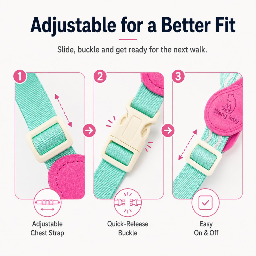 Paws in Awe Breathable Padded Dog Harness & Leash Set for Daily Walks - Easy-Control Vest for Small & Medium Dogs image 8