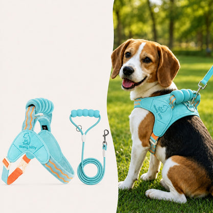 Paws in Awe Breathable Padded Dog Harness & Leash Set for Daily Walks - Easy-Control Vest for Small & Medium Dogs image 12