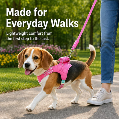 Paws in Awe Breathable Padded Dog Harness & Leash Set for Daily Walks - Easy-Control Vest for Small & Medium Dogs image 2