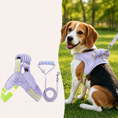 Paws in Awe Breathable Padded Dog Harness & Leash Set for Daily Walks - Easy-Control Vest for Small & Medium Dogs image 13