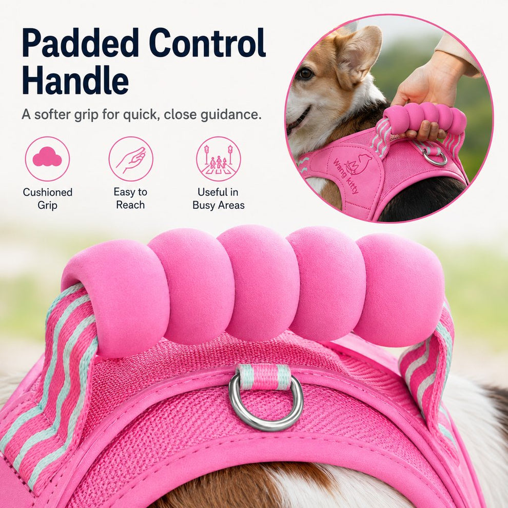 Paws in Awe Breathable Padded Dog Harness & Leash Set for Daily Walks - Easy-Control Vest for Small & Medium Dogs image 6