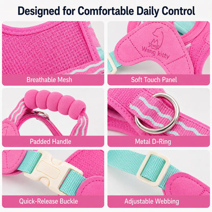 Paws in Awe Breathable Padded Dog Harness & Leash Set for Daily Walks - Easy-Control Vest for Small & Medium Dogs image 11