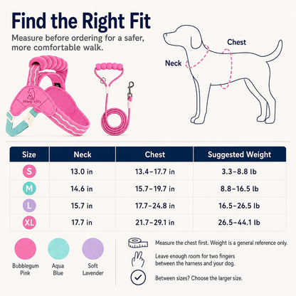 Paws in Awe Breathable Padded Dog Harness & Leash Set for Daily Walks - Easy-Control Vest for Small & Medium Dogs image 10