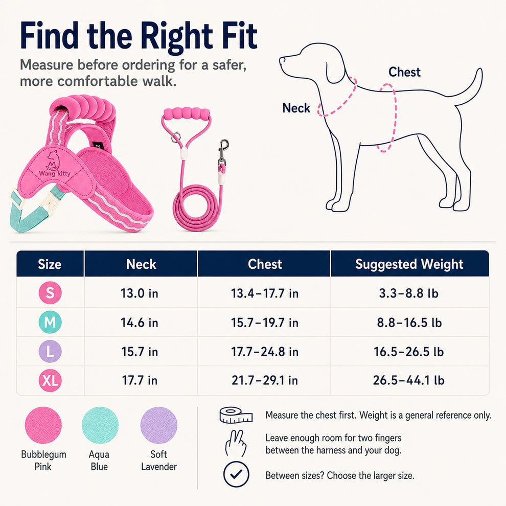 Paws in Awe Breathable Padded Dog Harness & Leash Set for Daily Walks - Easy-Control Vest for Small & Medium Dogs image 10