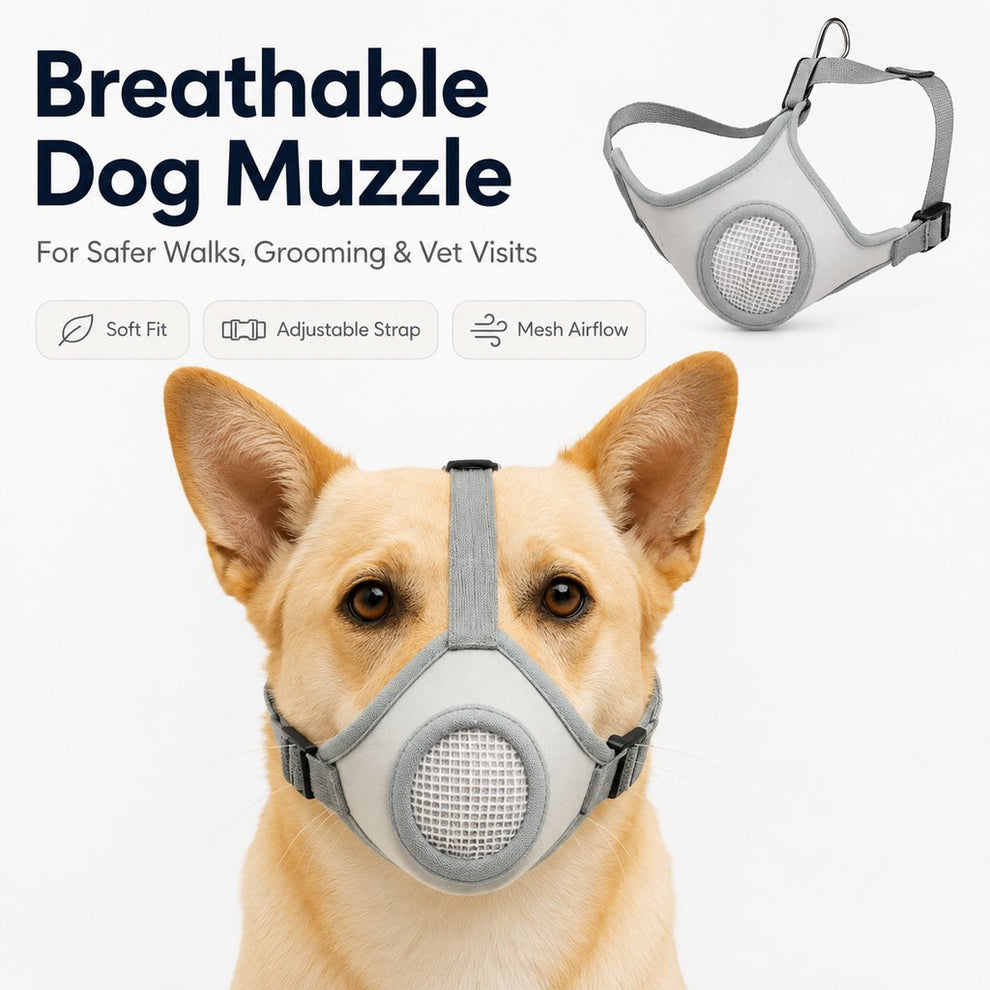 Paws in Awe Breathable Dog Muzzle for Walks, Grooming & Vet Visits - Soft Adjustable Mesh Muzzle to Help Reduce Biting, Chewing & Barking image 2