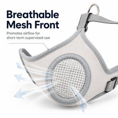 Paws in Awe Breathable Dog Muzzle for Walks, Grooming & Vet Visits - Soft Adjustable Mesh Muzzle to Help Reduce Biting, Chewing & Barking image 5