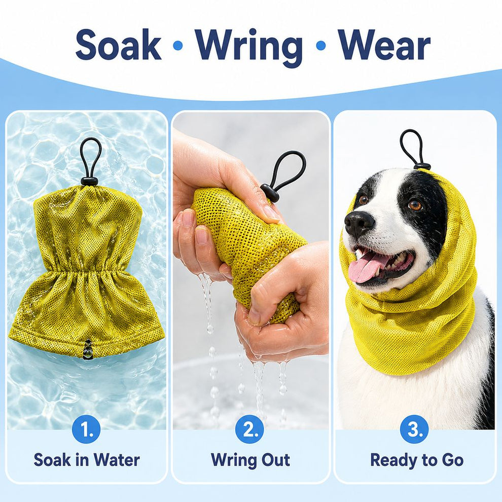 Paws in Awe Water-Activated Dog Cooling Snood for Summer Walks - Lightweight Neck & Ear Cooler for Hot Weather, Beach Days & Long-Fur Dogs image 5