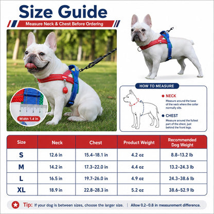 Paws in Awe No-Choke French Bulldog Harness & Leash Set for Daily Walks - Reflective, Easy-Control Fit for Broad-Chest Dogs image 10
