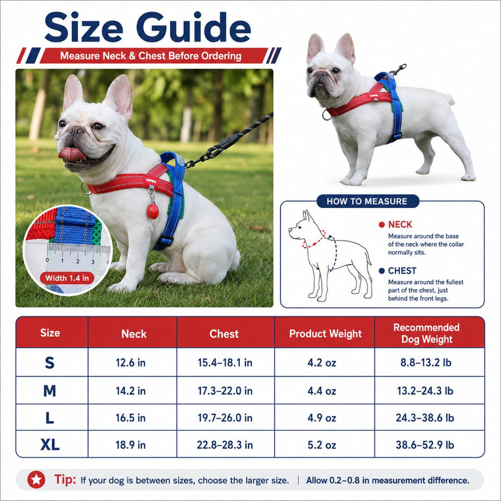 Paws in Awe No-Choke French Bulldog Harness & Leash Set for Daily Walks - Reflective, Easy-Control Fit for Broad-Chest Dogs image 10